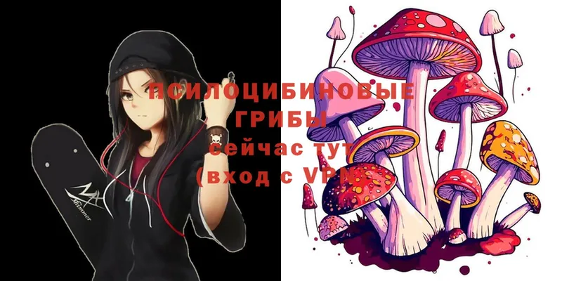 Галлюциногенные грибы Psilocybine cubensis  MEGA ONION  Десногорск 